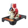 Detachable Assembly DC Motor Demonstration Model, Metal Armature