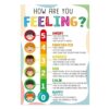 DGHIHZDHO Emotions Poster for Social Emotional Learning SEL Chart with Faces Feelings Recognition Tool for Classroom Home Counseling 8 X 12 in