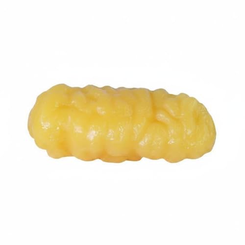 DimyFew Medical Training Prop Human Adipose Tissue Model Teaching Display Tray TPE Material Realistic Texture Reusable Teaching Aid Suitable for Trainers Classroom Lessons 500g