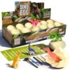 Dinosaur Eggs Toys Dig Kit, 12 Dino Eggs, Dinosaur Toy for Kids, Science STEM Dinosaur Eggs for Birthday and Easter Gift, Easter Basket Stuffers, for Boys Girls Age 3+