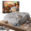 Discovery Colossal Fossil Dig Set, 15-Piece Archeology Excavation Kit, Uncover Real Shark Teeth and More, STEM Toys for Boys and Girls