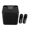 Diyeeni Karaoke Machine with 2 Wireless Microphones, Portable Bluetooth Speaker 1500mAh Battery, Powerful Subwoofer for Adults Kids Party Singing