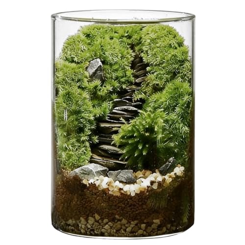 DIY Large Moss Terrarium Kit, Borosilicate Glass Ecosystem Bottle for Indoor Plants, Moss Micro Landscape with Detailed Material Pack and Tools Included, 5.9 x 3.9 in, Relaxing Gift