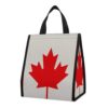 DJUETRUI Retro Canada Flag Reusable Insulated Lunch Bag 9L