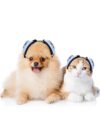 Dog Ear Muffs Noise Protection – Luxury Dog Headphones for Anxiety Relief