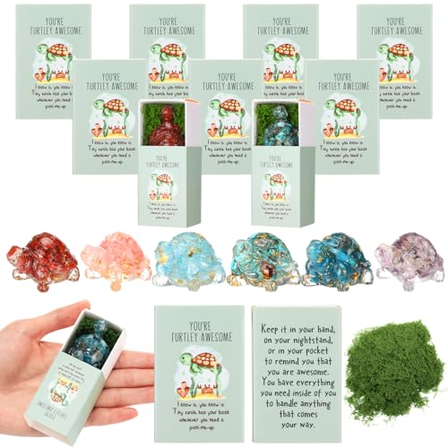 DoubleFill 6 Set Back to School Gifts Emotional Positive Inspirational Gifts for Teachers Employee Coworkers Staff Work Team Housekeeping Vet Tech Week (Natural Crystal)