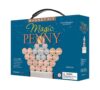 Dowling Magnets Magic Penny Magnet Kit - STEM Toy Gift for Kids 8, 9, 10, 11, 12+ Years Old - Perfect Educational Gift for Boys and Girls - Hours of Unplugged Play