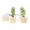 DWC Hydroponics Grow System, Kit with 5-Bucket /2.91-Gallon Deep Water Culture, Recirculating Drip Garden System with Submerged Pump for Growing Vegetables, Hydroponics Grow Kit