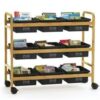 EAIEDUCATION Copernicus Educational Products BB006-9-RCY 37.5 x 41 x 16 in. Bamboo Book Browser Cart with Recycled Tubs
