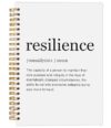 Ecezatik Inspirational Notebook,Inspirational Journal,Inspirational Journal for Women Men Writing,Resilience Spiral Notebook 8.3×5.5 Inch