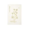ECVGHD Artistic Memo Book Notepads Memo Pad with 4 Unique Color Themes Suitable for Offices Meetings and Handcraft Projects Pen and Brush Lettering