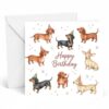 Edition Seidel Premium Square Birthday Card with Envelope. Greeting Card 2026 Happy Birthday Dachshund Party for Him Her Friend (GQ1130 SW026)