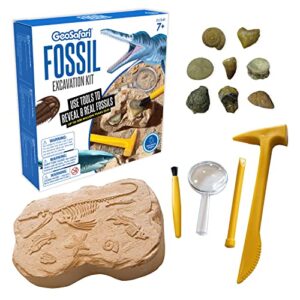 Educational Insights GeoSafari Fossil Excavation Kit, Kids Science Kit, Dinosaur Science Toy, Ages 7+