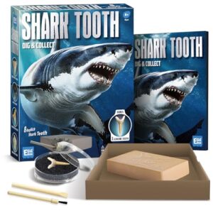 EGGBOX Shark Tooth Dig Kit Excavate 8 Shark Fossils Including Great White, Angel, Bullhead, Longnose, Sand Tiger Shark and so on. Great Science Gift for Marine Biology Enthusiasts of Any Age