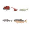 EHJRE 3X Life Cycle of Salmon Toys Animal Growth Cycle Set Science Teaching Tools Farm Animals Figurines for Birthday Gifts Party