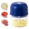 Electric Garlic Chopper, Mini Food Processor for Kitchen