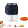 Electric Mini Chopper Food Processor, Garlic Chopper for Nuts Ginger Chili Onion, with 3 Stainless Steel Blades, Blue Design