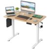 Electric Standing Desk, 40" Adjustable Height Home Office Desk with Memory