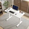 Electric Standing Desk, 55×24 Inch Height Adjustable Sit Stand Desk