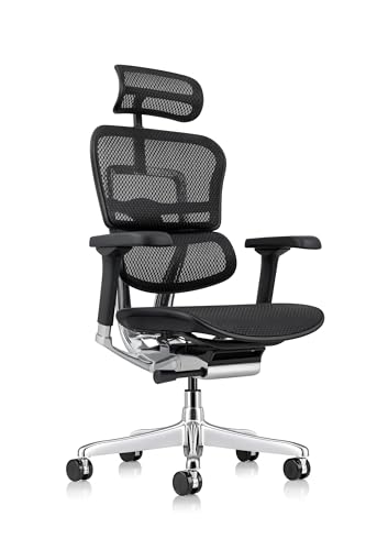 Ergohuman ME7ERG GEN2 High Back Mesh Office Chair with Tilt Tension Control, Tilt Lock, Synchro Tilt, Seat Height, Seat Depth, and Arm Height Adjustments, Gold Violet Metallic Frame
