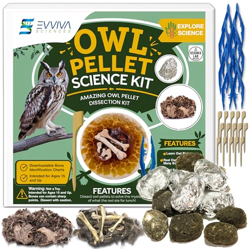 ES EVVIVA SCIENCES Owl Pellet Kit - Dissect 15 Mostly Small Real Owl Pellets w/Tools & PDF Bone Charts - Science Education Kit for Ages 15+ - Hands-On Animal Biology Science Lab Activity