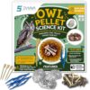 ES EVVIVA SCIENCES Owl Pellet Kit - Dissect 4 Real Owl Pellets w/Tools & PDF Bone Charts - Science Education Kit for Ages 15+ - Hands-On Animal Biology Science Lab Activity - Includes Owl eBook