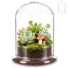 EVERJOYCRAFT Mini Glass Terrarium Kit 4.7"x6.3" Glass Dome Cloche with Base and Air Hole Plant Terrarium Clear Display Case for Carnivorous Plant Moss Home Decor for Tabletop