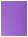 Exacompta - Ref 415007E - Box of 250 Rock''S Double Pocket folders 210 g/m² - Bright Colours - PEFC™ Certified folders - Size 24 x 32 cm for A4 documents - Purple