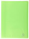 Exacompta - Ref 85463E - Box of 12 Chromaline Document Holders - 40 Smooth Crystal Pockets - 80 Views - for A4 - Size 24 x 32 cm - Translucent semi-Rigid Polypropylene Cover - Green