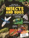 Explore Fantastic World of Insects And Bugs Picture Encyclopedia