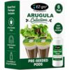 EZ-GRO Arugula Seed Pod Kit (6-Pod) | Pre-Seeded Hydroponics Seeds Pods with Oasis® Sponges for All Hydroponics Growing System | No Assembly Required | 35+ Seeds Pod Collections