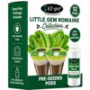EZ-GRO Little Gem Romaine Lettuce Seed Pod Kit (12-Pod) | Pre-Seeded Hydroponics Seeds Pods with Oasis® Sponges for All Hydroponics Growing System | No Assembly Required | 35+ Seeds Pod Collections