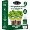 EZ-GRO Little Gem Romaine Lettuce Seed Pod Kit (6-Pod) | Pre-Seeded Hydroponics Seeds Pods with Oasis® Sponges for All Hydroponics Growing System | No Assembly Required | 35+ Seeds Pod Collections