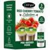 EZ-GRO Red Robin Cherry Tomato Seeds Pod Kit (12 Pod) | Hydroponic Seeds - Pre-Seeded Pods with Oasis® Sponges for All Hydroponics Growing System | No Assembly Required | 35+ Seed Pod Collections