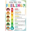 FaCraft Feelings Chart Poster for Kids Toddlers - Laminated Emotions Chart Boho Learning Educational Posters for Preschool Kindergarten Classroom Bulletin Board Decorations Teacher Back to School