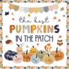 Fall Bulletin Board Decorations, 80 Pcs Pumpkin Theme Set