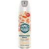 FamilyGuard Disinfectant Spray Aerosol, Antibacterial & Sanitizing Spray, Use on 100+ surfaces including where kids & pets play, Citrus Scent, 17.5 oz (Pack of 1)