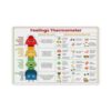 Feelings Thermometer Metal Tin Sign, Emotions And Coping Skills Chart for Kids, Social Emotional Learning Classroom Decor for Teachers, Counselors And Therapy Rooms20*30cm