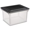 File Box, Clear Plastic Bin with Black Lid, Letter or Legal-sized File Storage, Black