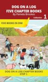 Five Chapter Books 1: Decodable Series for Students Learning to Read. For Beginning Readers and Students with Dyslexia. (Step 1-All Letters plus ... ck) (Dog on a Log Chapter Book Collections)