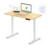 FLEXISPOT E3 Bamboo Dual Motor Electric Standing Desk 48 x 24 Sit Stand Up Desk, Holds 220 lbs, Adjustable Height w/Memory Presets, Solid Bamboo Desktop & White Frame, Ships in 2 Boxes