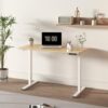 FLEXISPOT Electric Height Adjustable Kids Desk, Motorized Sit Stand Study Table for Children Ages 3-10, Ergonomic Childrens Desk with 48 x 24 Inch White Desktop, 154 lbs Capacity