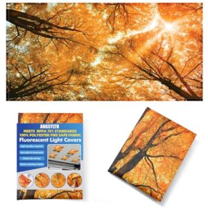 Fluorescent Light Covers -1PCS 4x2 Feet Classroom Covers for Ceiling Lights