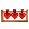 Focket Plant Propagation Station, Heart Shaped Wood Stand with 3 Colorful Transparent Borosilicate Glass Vases Propagation Vases, Hydroponic Plant with Easy Root Observation