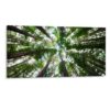 Forest Tree Green on Canvas Framed Farmhouse Posters Pictures Ready to Hang Artwork Wall Art for Dining Room Apartment Home Decorations 8"x16"