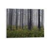 Forest Trees Woods on Canvas Framed Farmhouse Posters Pictures Ready to Hang Artwork Wall Art for Dining Room Apartment Home Decorations 11"x14"