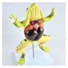 Frog Anatomical Model,Animal Skeleton Anatomy Model,with Detachable Visceral Organs, Medical Scientific Education Tool, for Biology Display Study