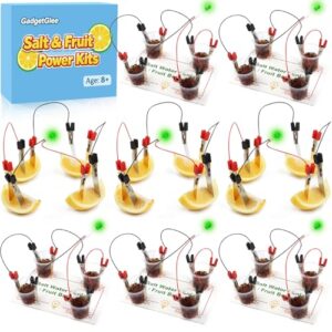 Fruit Saltwater Battery Science Circuit Kits for Kids 8-12, Bulk STEM Kit Potato Battery Lemon Light Bulb Food Experiments, Circuits for Class Electricity Projects Classroom Gifts 8 9 10 11 Year Old
