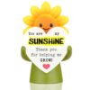 FTONENI Teacher Thank You Sunflower Figurine, You are My Sunshine Appreciation Gift, Encouragement Desk Decor for Teacher Mentor Coworker - FDE738