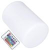 FTVOGUE RGB Cylindrical Lamp PE ABS LED Night Light 16 Color Remote Control Light 4 Modes 15 Cm X 10 Cm for Bar KTV Nightclub Bedroom Table Decor
